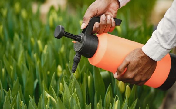 african-gardener-guy-gardener-with-watering-can-flower-beds_1157-47076