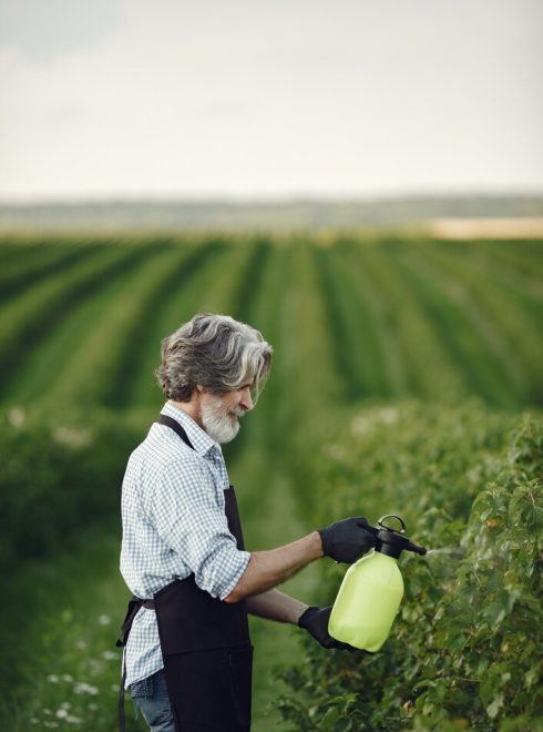 farmer-spraying-vegetables-garden-with-herbicides-man-black-apron_1157-39708